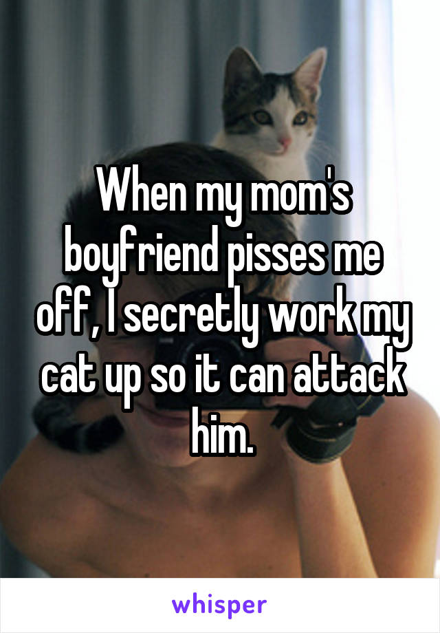When my mom's boyfriend pisses me off, I secretly work my cat up so it can attack him.