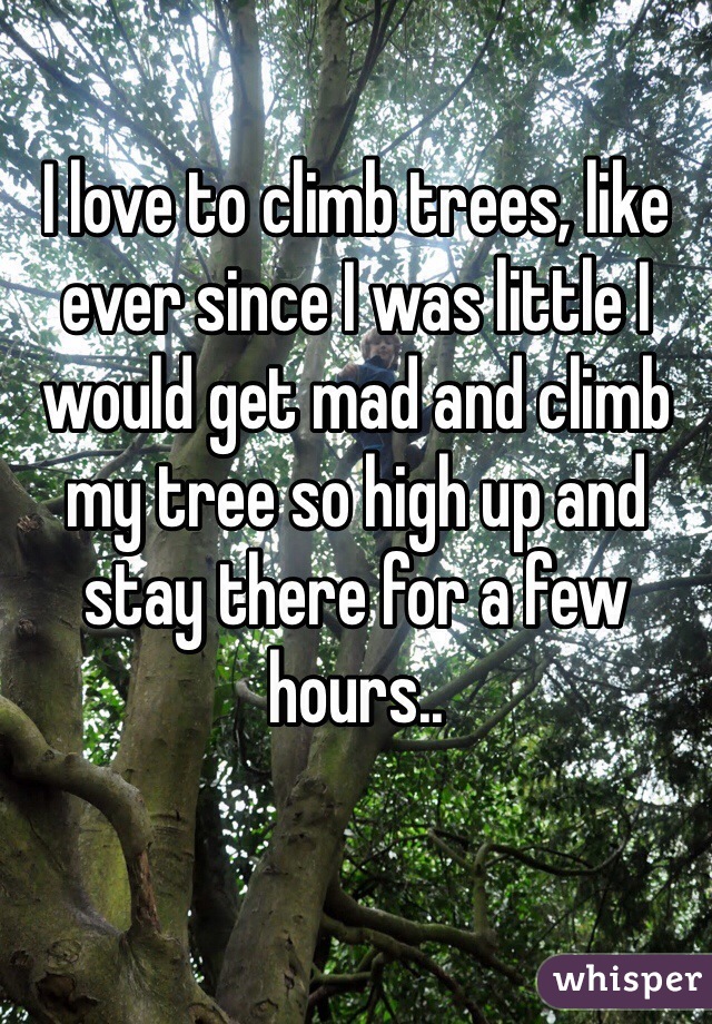 I love to climb trees, like ever since I was little I would get mad and climb my tree so high up and stay there for a few hours..