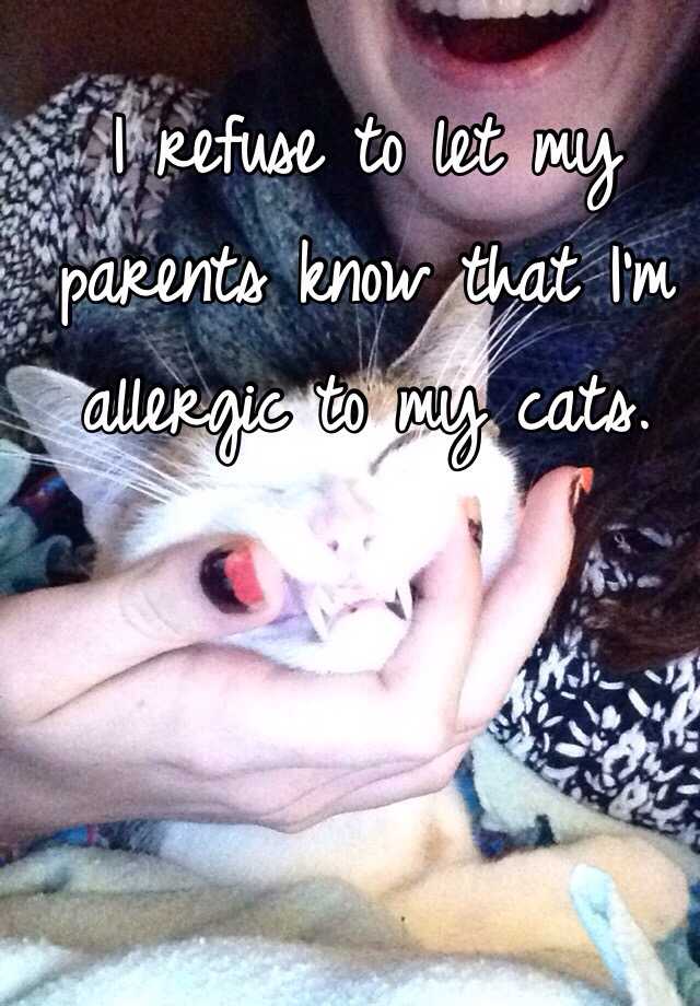 i-refuse-to-let-my-parents-know-that-i-m-allergic-to-my-cats