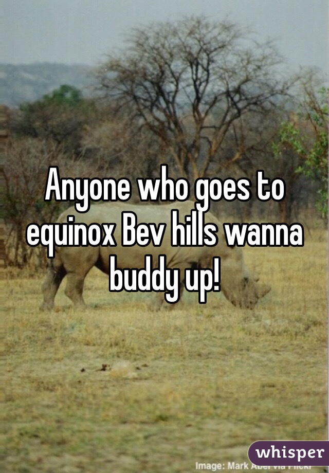 Anyone who goes to equinox Bev hills wanna buddy up! 