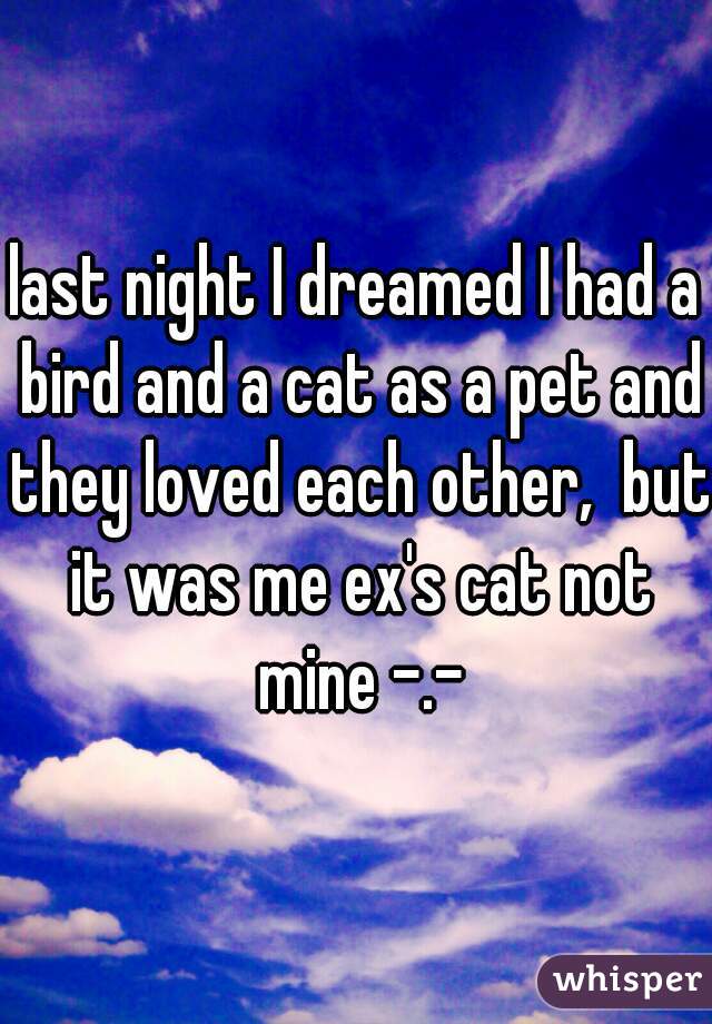 last night I dreamed I had a bird and a cat as a pet and they loved each other,  but it was me ex's cat not mine -.-