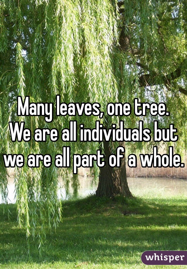 Many leaves, one tree. 
We are all individuals but we are all part of a whole. 