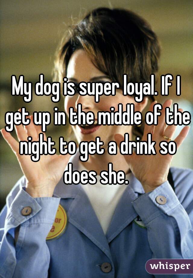 My dog is super loyal. If I get up in the middle of the night to get a drink so does she. 