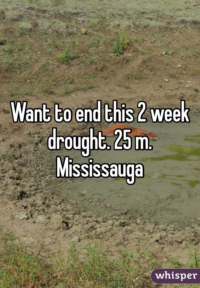 Want to end this 2 week drought. 25 m. Mississauga