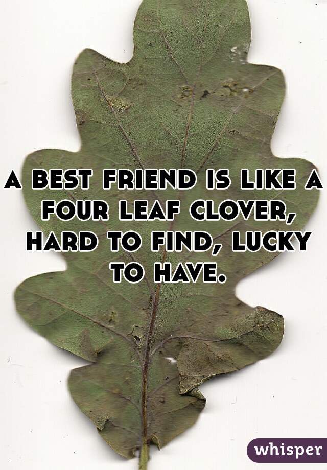 a best friend is like a four leaf clover, hard to find, lucky to have.