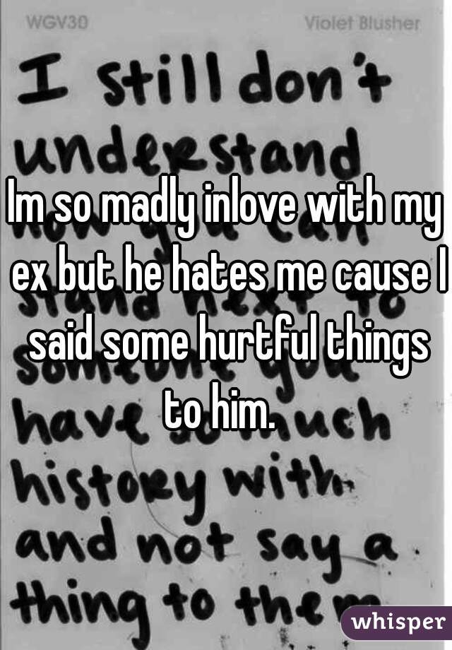 Im so madly inlove with my ex but he hates me cause I said some hurtful things to him.  