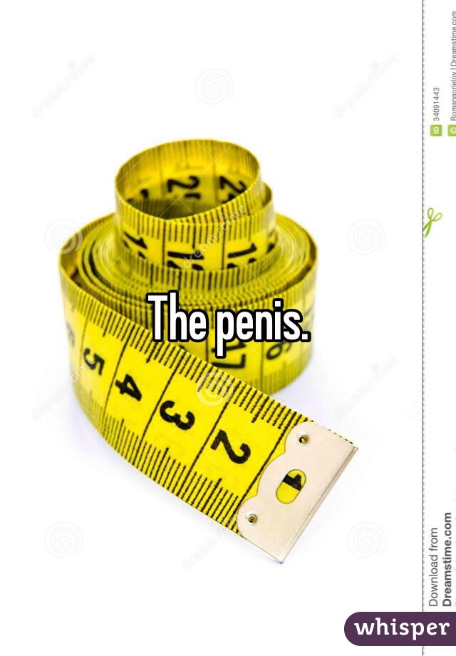 The penis. 
