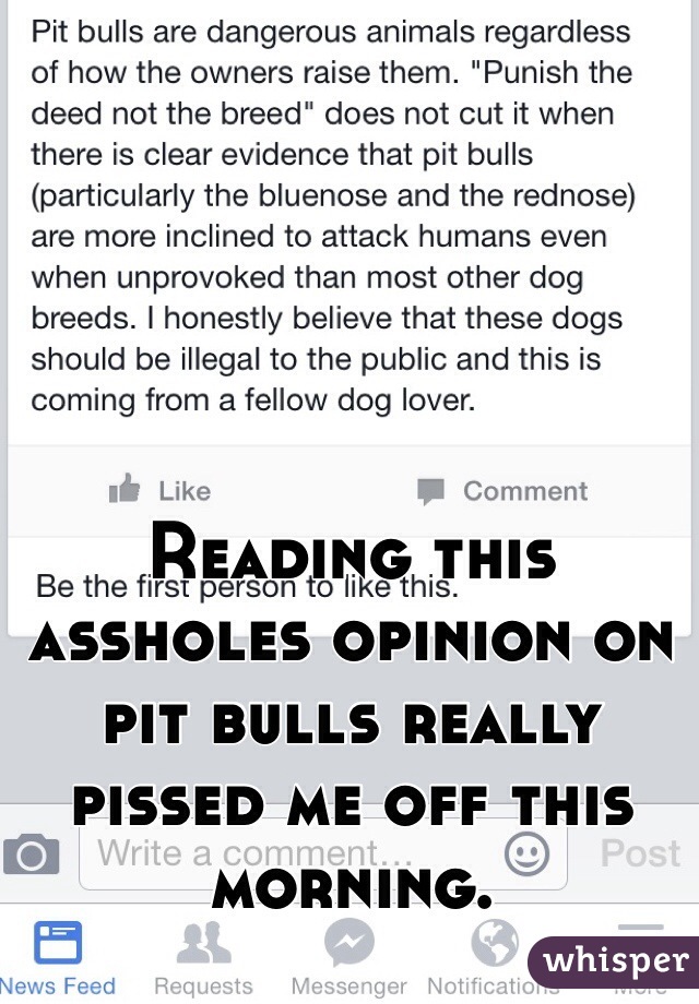 Reading this assholes opinion on pit bulls really pissed me off this morning. 