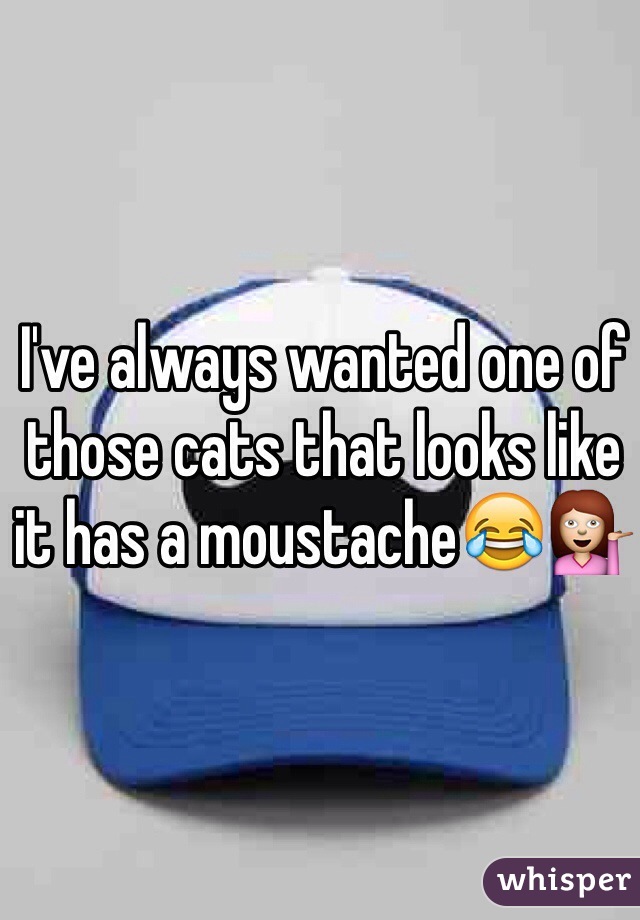 I've always wanted one of those cats that looks like it has a moustache😂💁