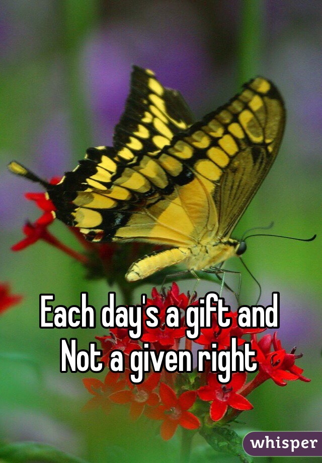 Each day's a gift and
Not a given right