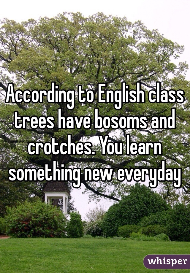 According to English class trees have bosoms and crotches. You learn something new everyday