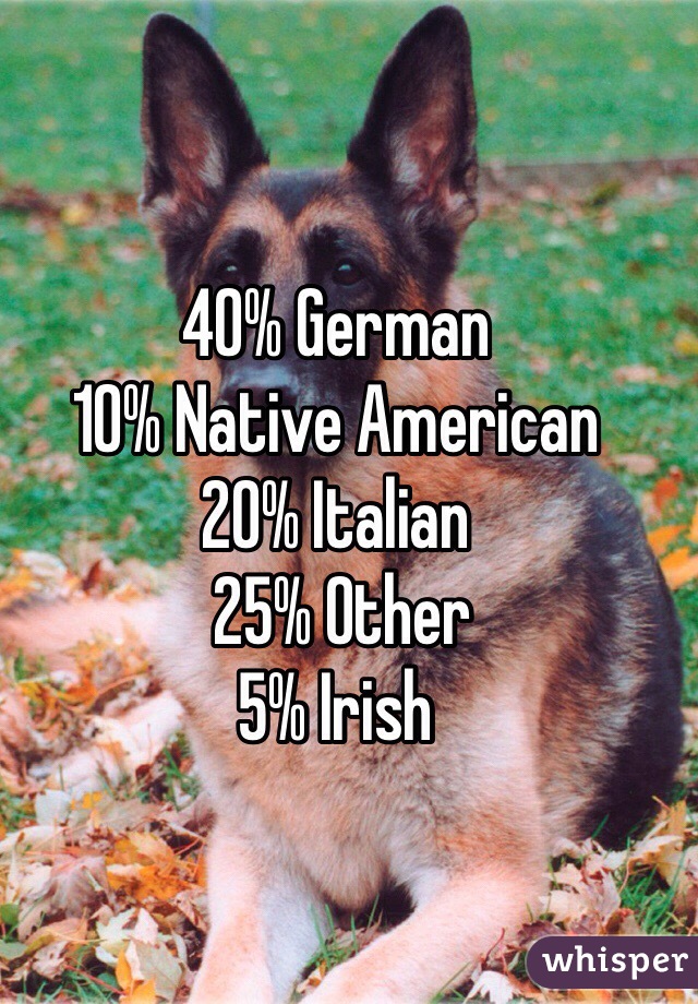 40% German
10% Native American
20% Italian
 25% Other
5% Irish
