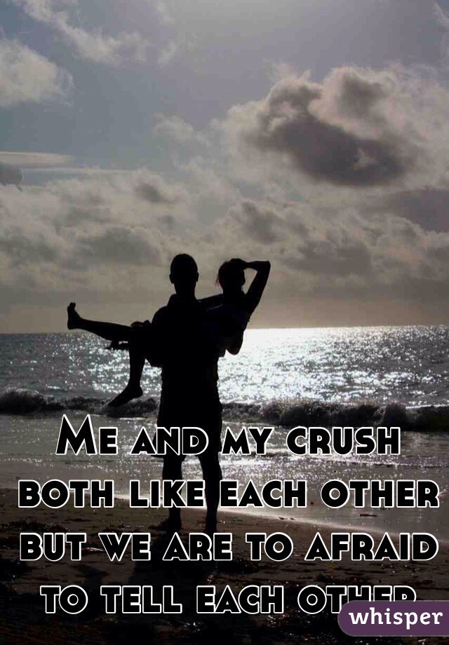 Me and my crush both like each other but we are to afraid to tell each other 