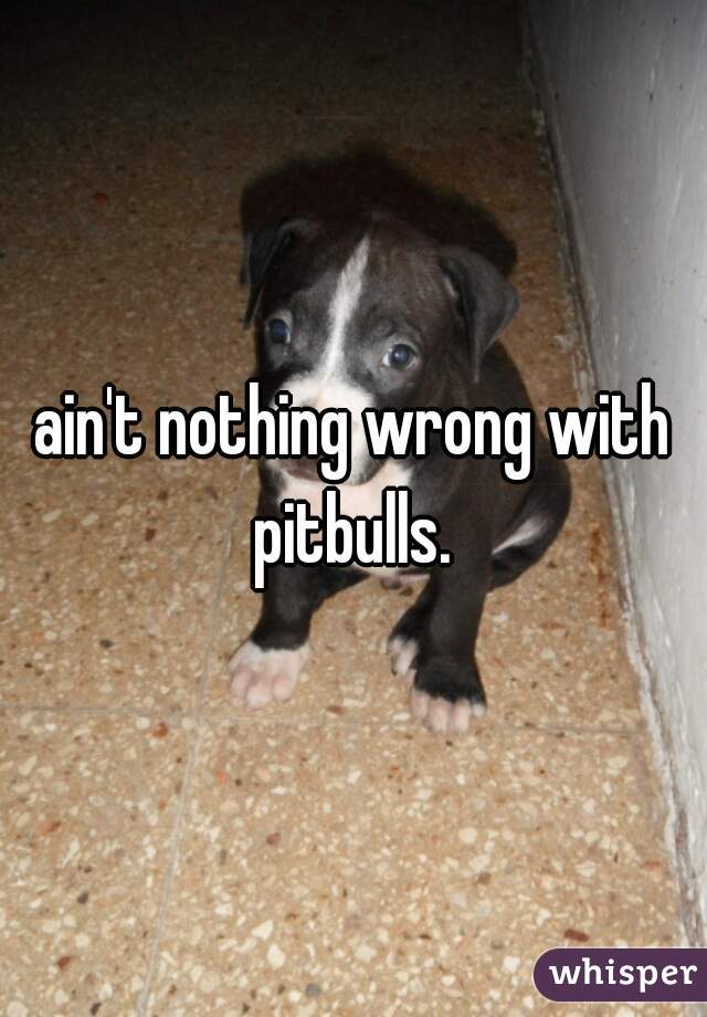 ain't nothing wrong with pitbulls. 