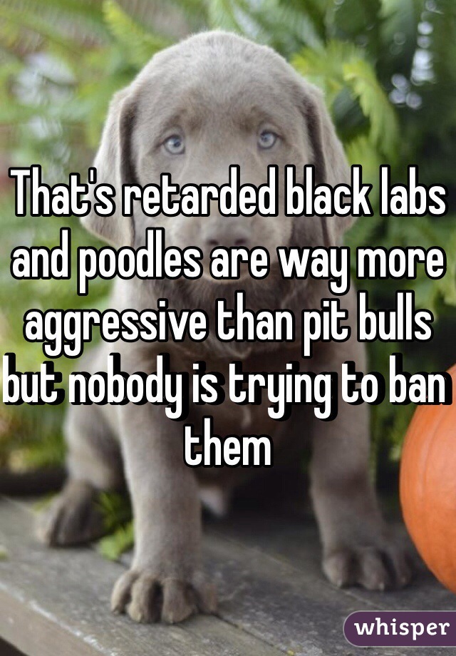 That's retarded black labs and poodles are way more aggressive than pit bulls but nobody is trying to ban them