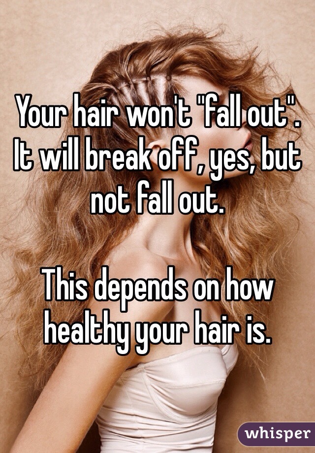Your hair won't "fall out". It will break off, yes, but not fall out. 

This depends on how healthy your hair is. 