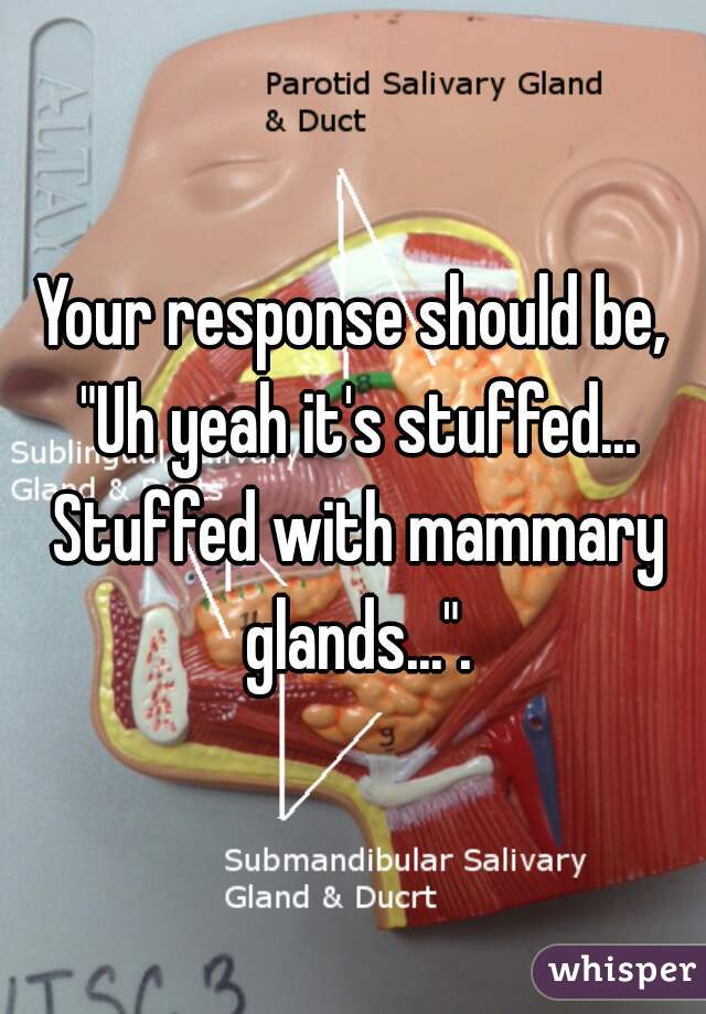 Your response should be, "Uh yeah it's stuffed... Stuffed with mammary glands...".