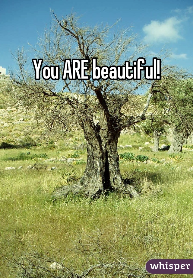 You ARE beautiful!