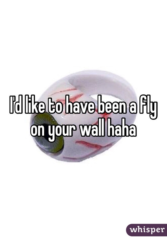 I'd like to have been a fly on your wall haha 