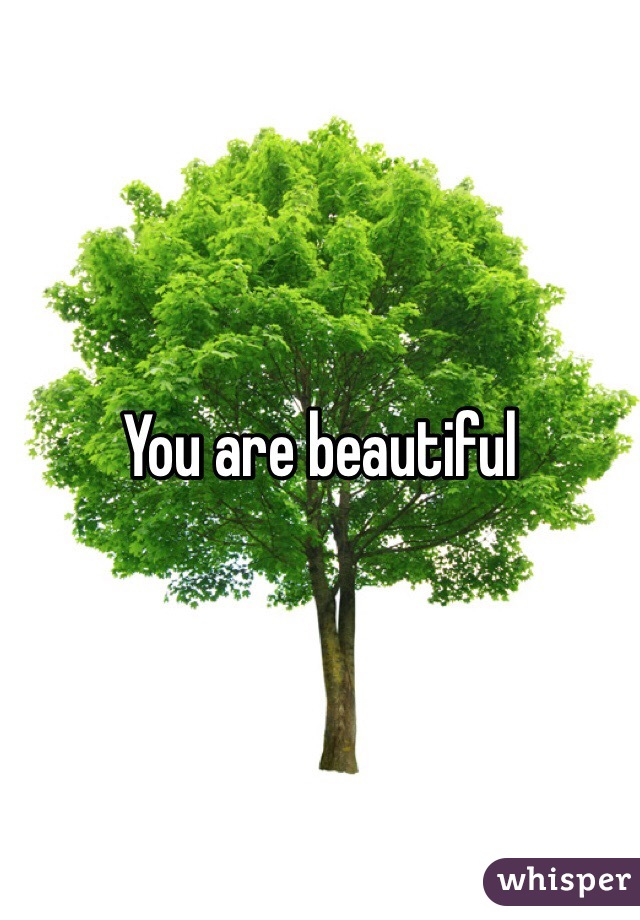 You are beautiful