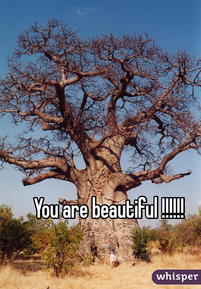 You are beautiful !!!!!!