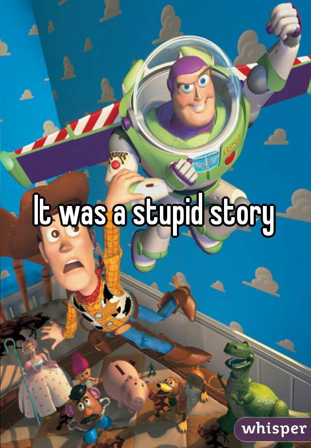 It was a stupid story