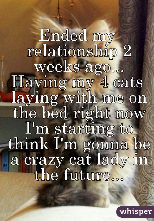 Ended my relationship 2 weeks ago...
Having my 4 cats laying with me on the bed right now I'm starting to think I'm gonna be a crazy cat lady in the future...