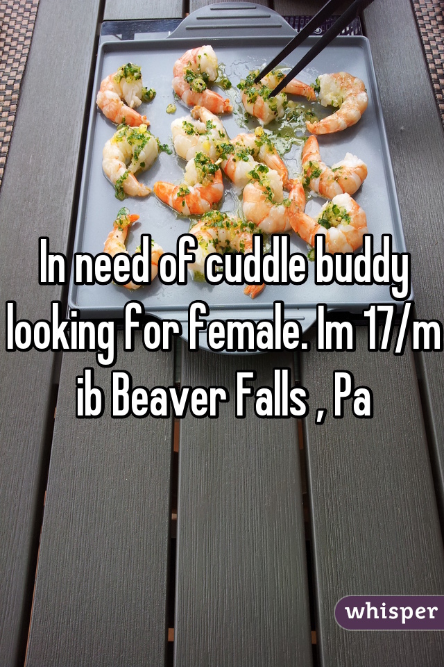 In need of cuddle buddy looking for female. Im 17/m ib Beaver Falls , Pa