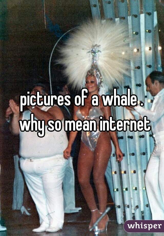 pictures of a whale .
  why so mean internet