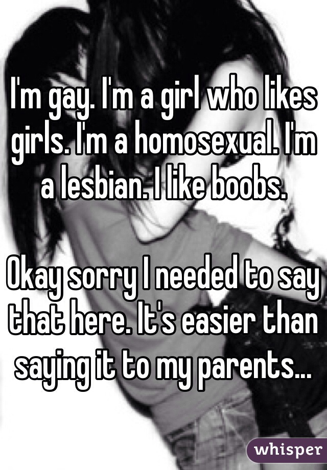 I'm gay. I'm a girl who likes girls. I'm a homosexual. I'm a lesbian. I like boobs.

Okay sorry I needed to say that here. It's easier than saying it to my parents...