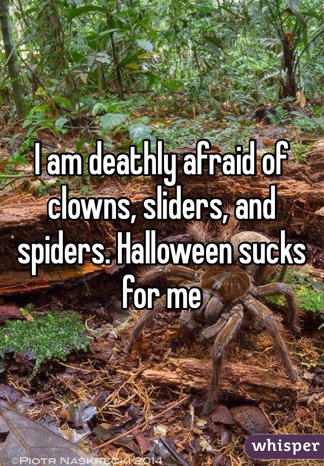 I am deathly afraid of clowns, sliders, and spiders. Halloween sucks for me