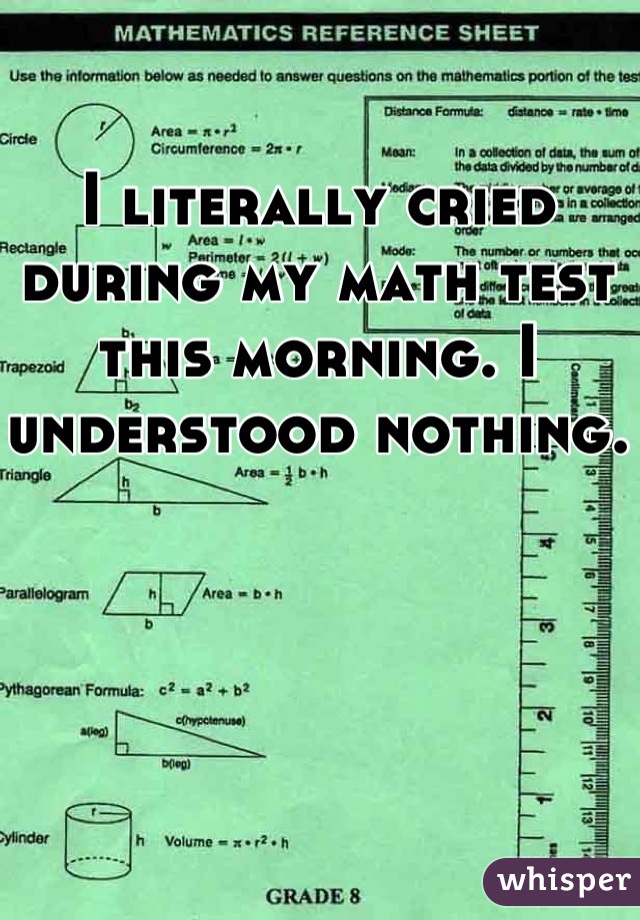 I literally cried during my math test this morning. I understood nothing.