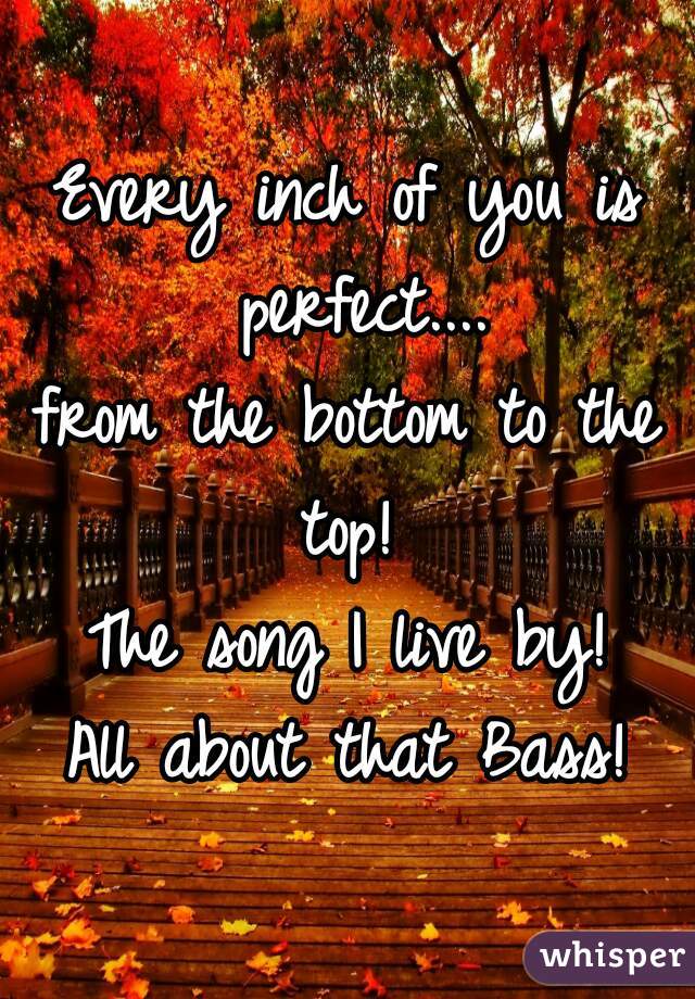 
Every inch of you is perfect....
from the bottom to the top! 
 
The song I live by!
All about that Bass!