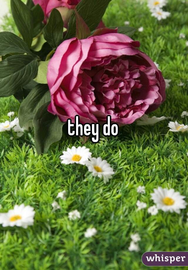 they do
