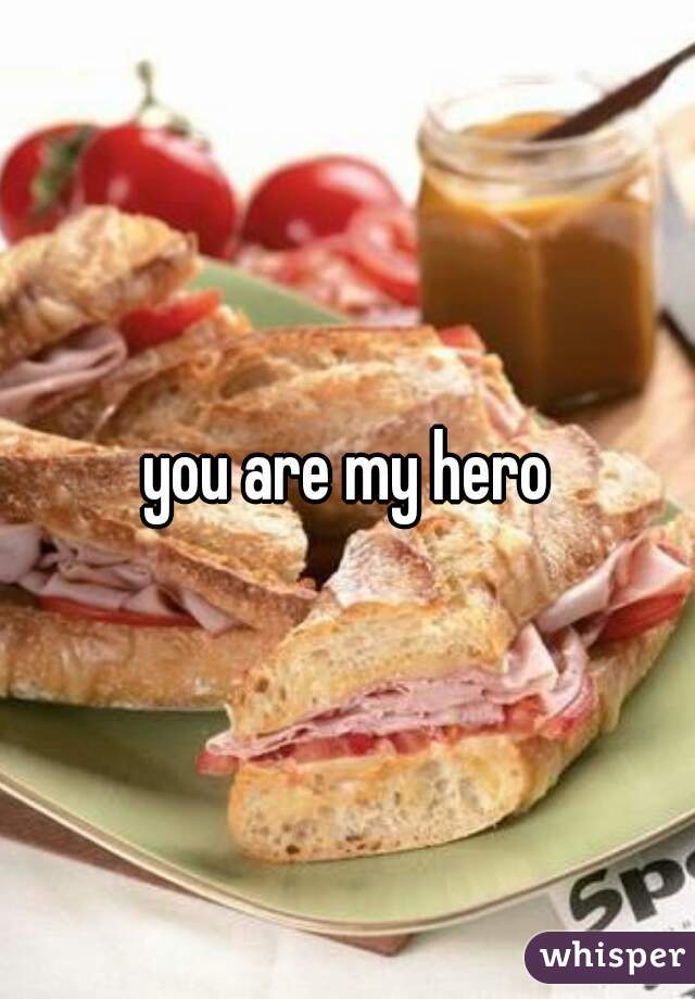 you are my hero