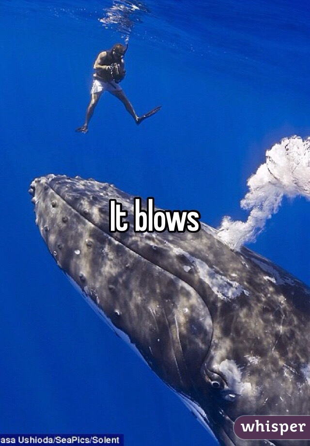 It blows
