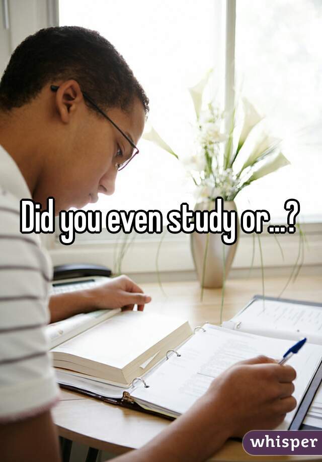 Did you even study or...?