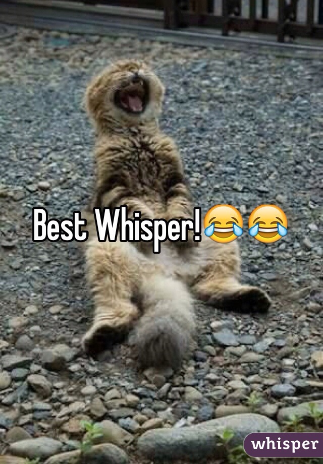 Best Whisper!😂😂