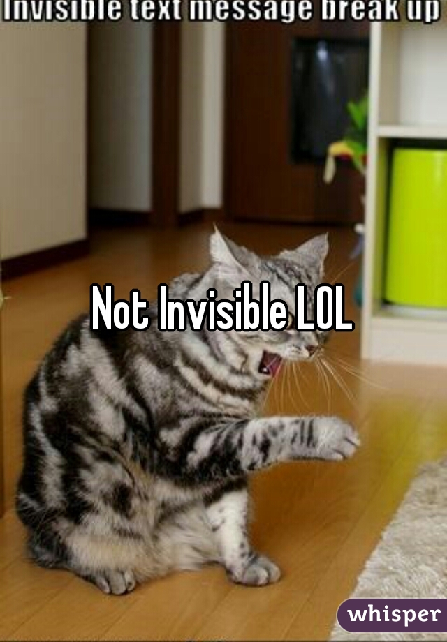 Not Invisible LOL