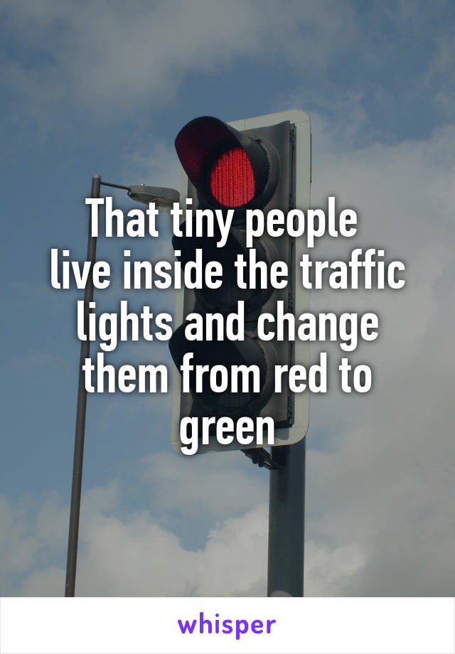 That tiny people 
live inside the traffic lights and change them from red to green