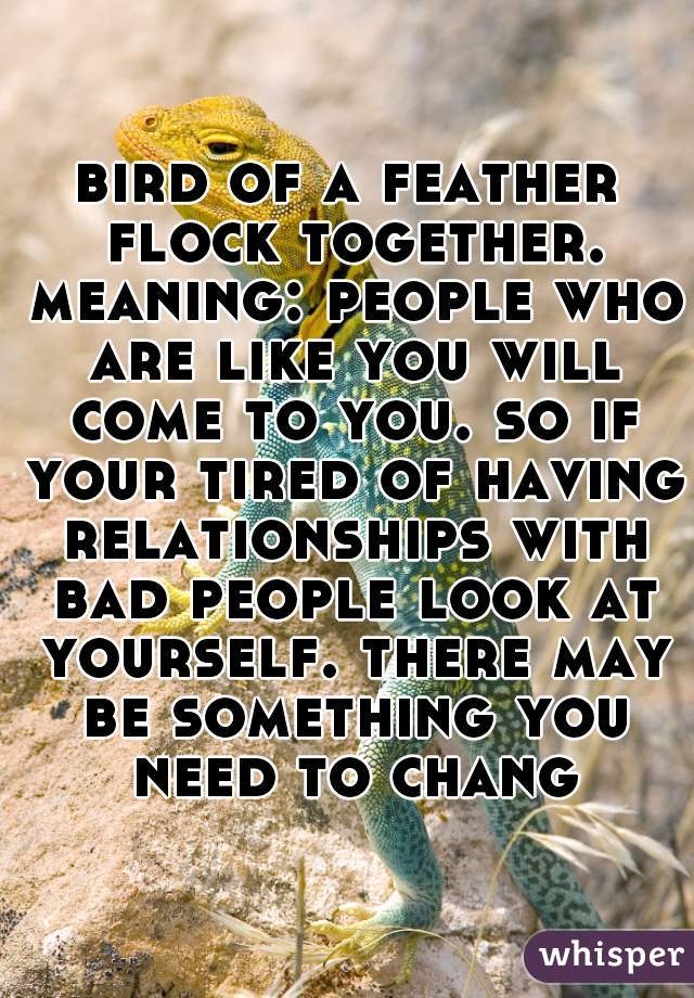 bird of a feather flock together. meaning: people who are like you will