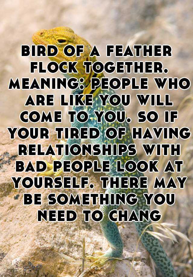 bird of a feather flock together. meaning: people who are like you will