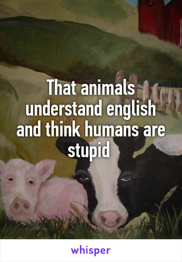 That animals understand english and think humans are stupid 
