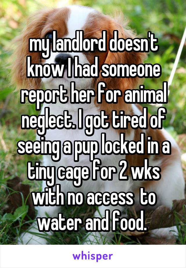 my landlord doesn't know I had someone report her for animal neglect. I got tired of seeing a pup locked in a tiny cage for 2 wks with no access  to water and food. 