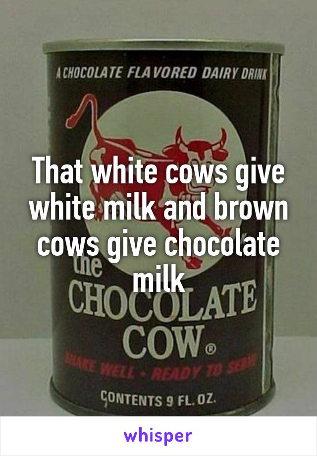 That white cows give white milk and brown cows give chocolate milk