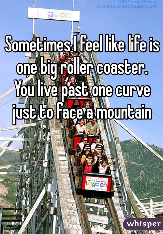 Sometimes I feel like life is one big roller coaster. You live