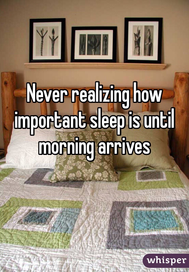 Never realizing how important sleep is until morning arrives
