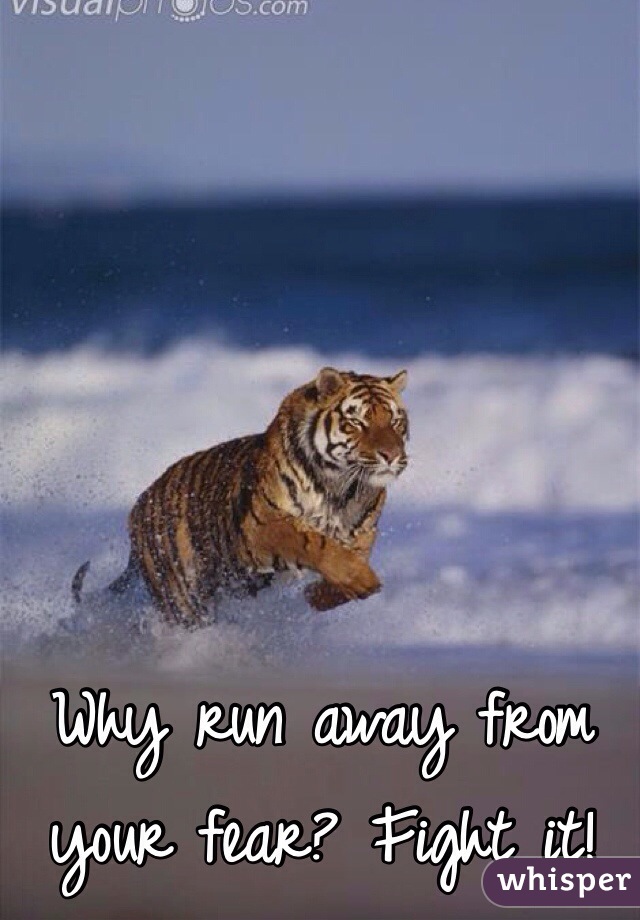 Why run away from your fear? Fight it!