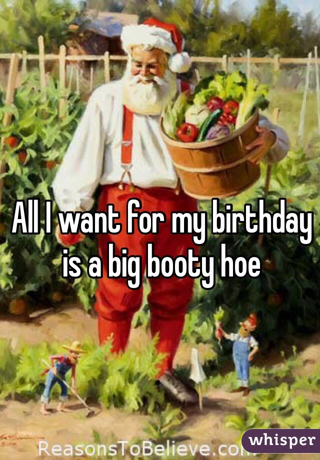All I want for my birthday is a big booty hoe