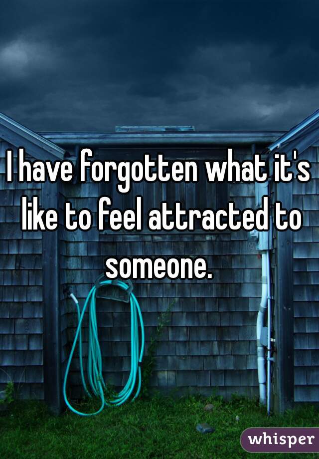 I have forgotten what it's like to feel attracted to someone. 